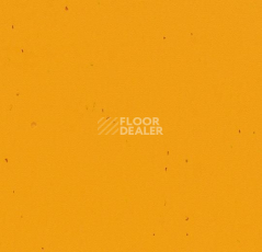 Линолеум Forbo Sphera Energetic 50210 mandarin фото 1 | FLOORDEALER
